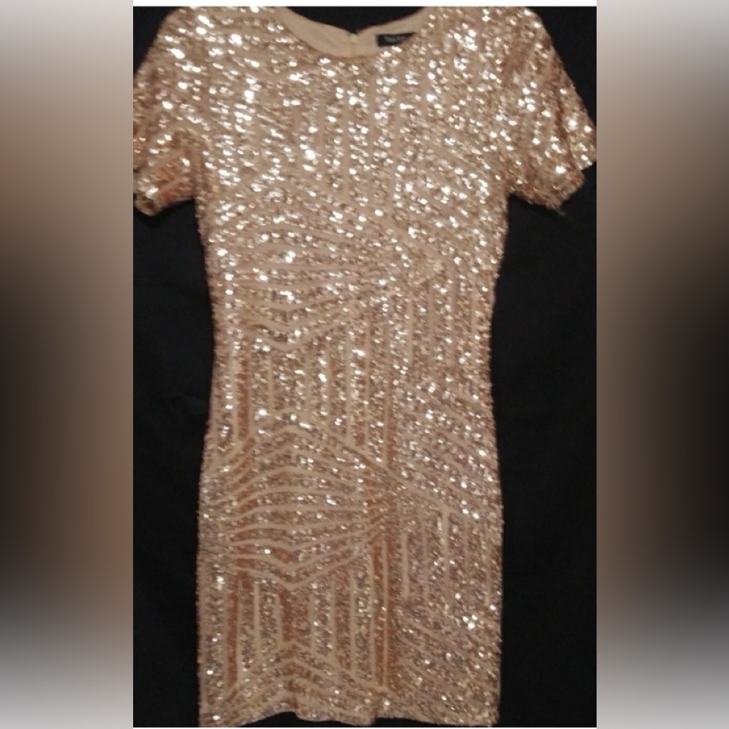 Verty Xs Rose Blush Champagne Sequins Runway Formal Evening Event Mini Dress